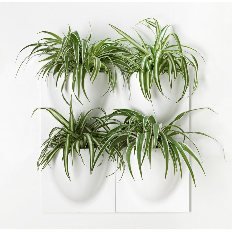 Wall Planter, White