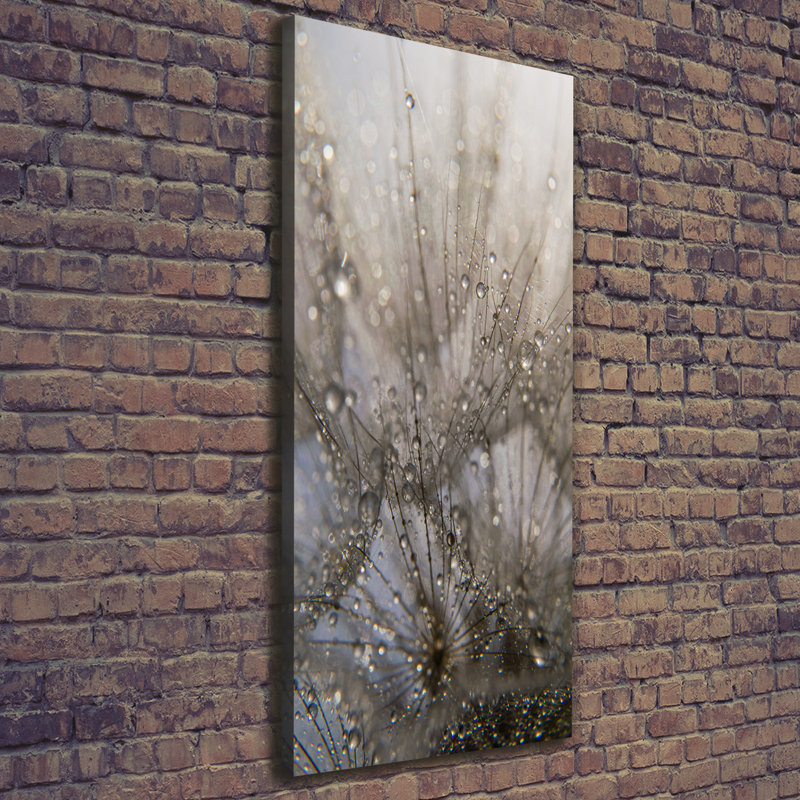 Dandelion Seeds - Wrapped Canvas Print