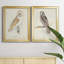 Barn Owl - Ensemble de 2 peintures sur toile encadrées-42979505-42979504