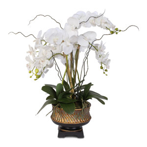 Astoria Grand Liquid Polymer Orchid Arrangement in Vase | Wayfair