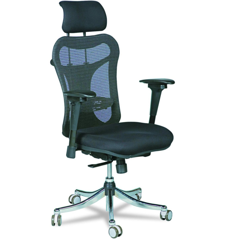  Fauteuil ergonomique Ergo Ex