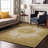 Premium Machine Washable Natoma AMF1003 Oriental Rug-448164696