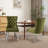 Geddy 20'' H Tufted Velvet Upholstered Side Chair-1650471360-1660331708
