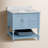 Hampton 36'' Single Bathroom Vanity with Top-1953585184-1974048760