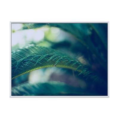 Feuilles de palmier tropicales, vert naturel - Peinture sur toile