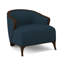 Penegrine Lounge Chair-71069818-71594675