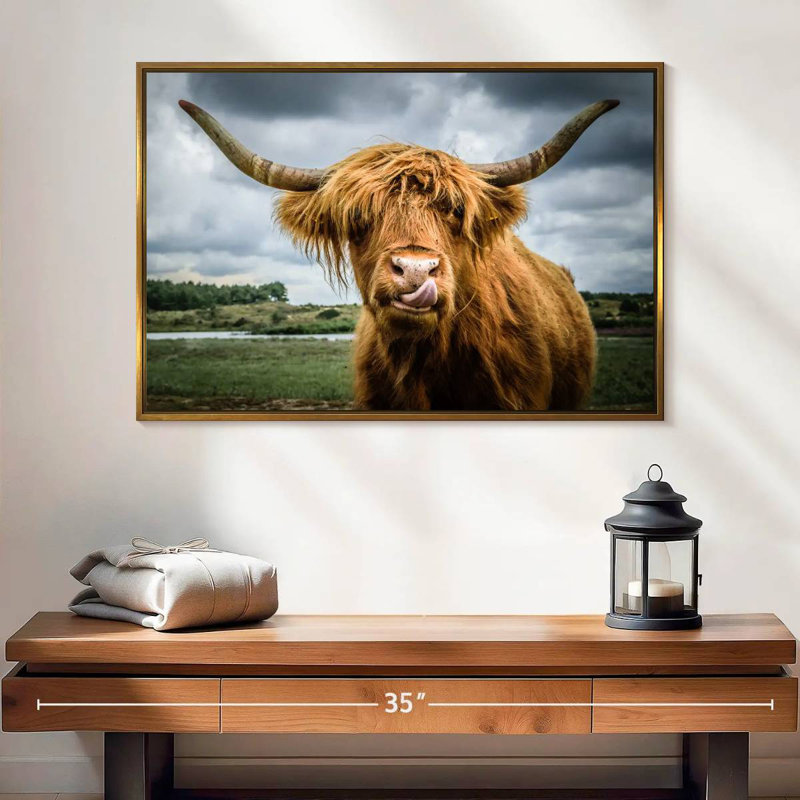 Silly Highland Cow, Cadre flottant doré, 25 po x 17 po