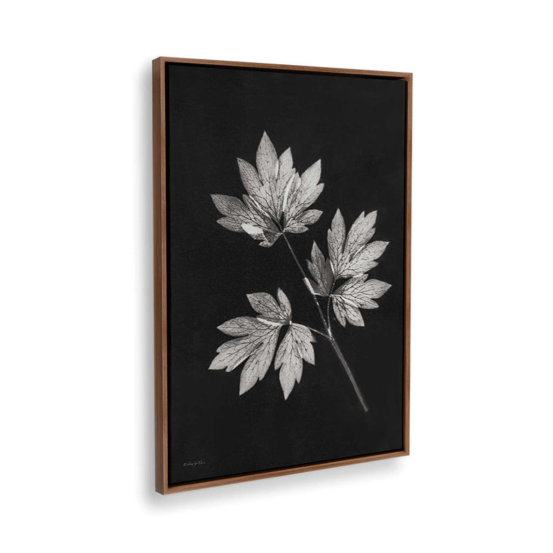 «Simple Leaves» par Robin-Lee Vieira, reproduction d'art, 12 W x 18 H, Brown, Toile avec cadre