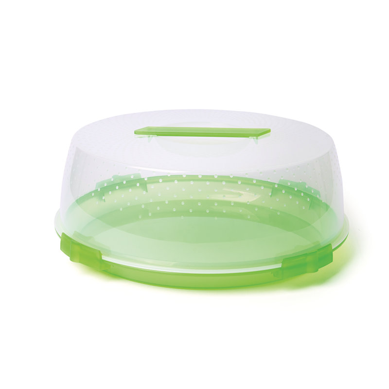 Rainbow Food Storage Container, Green