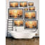 Rise And Shine XI by Marmont Hill - Single Picture Frame Print-628402756