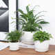 Aniece Ceramic Outdoor Pot Planter - Set of 3