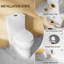 Toilette compacte 17,5 po ADA