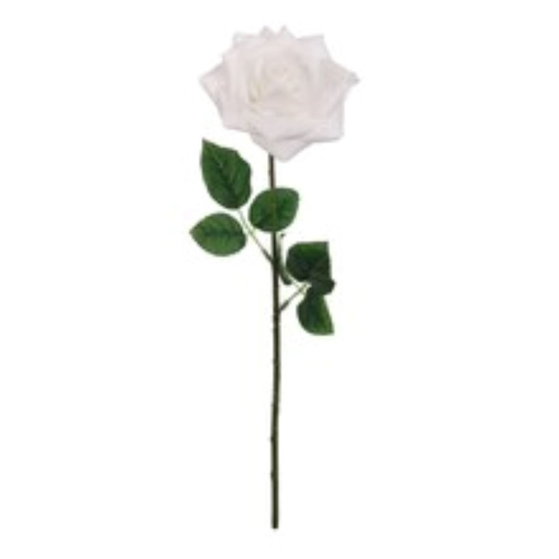 Tige de rose ouverte 20 po - paquet de 12
