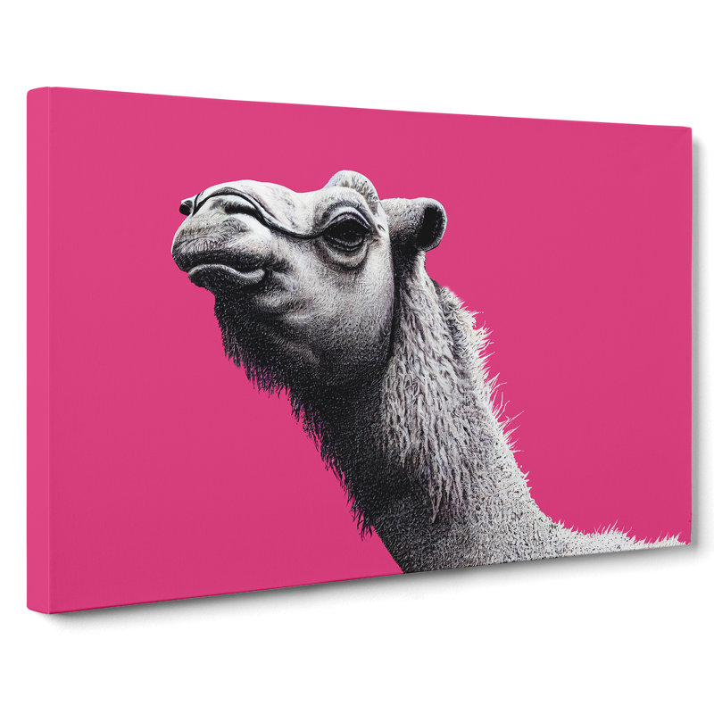 Legendary Camel - Wrapped Canvas Print, 50cm H x 76cm W x 3cm D