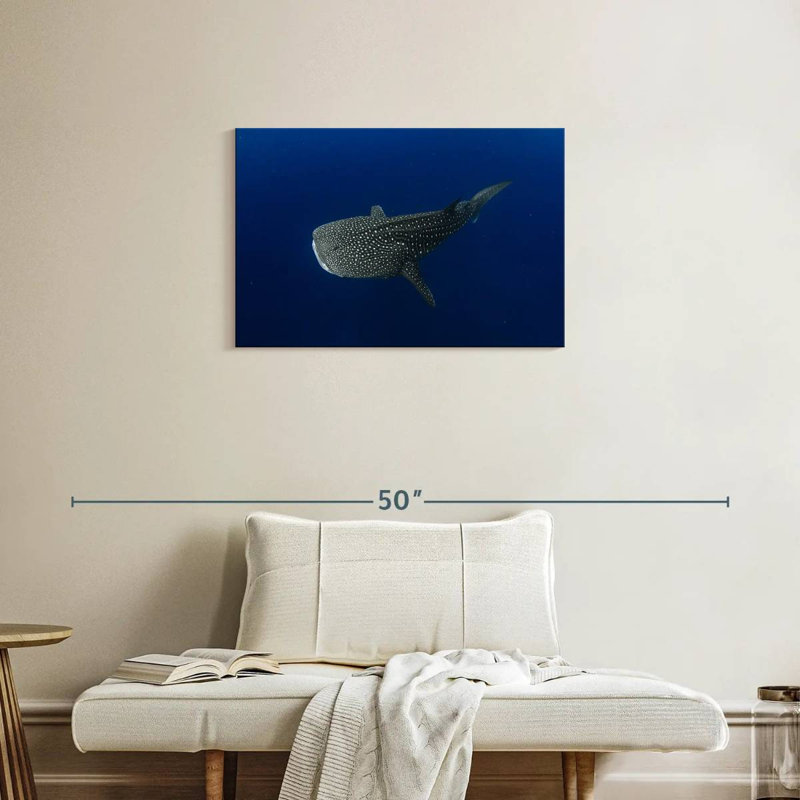 Requin-baleine Brampt dans une eau d'un bleu profond