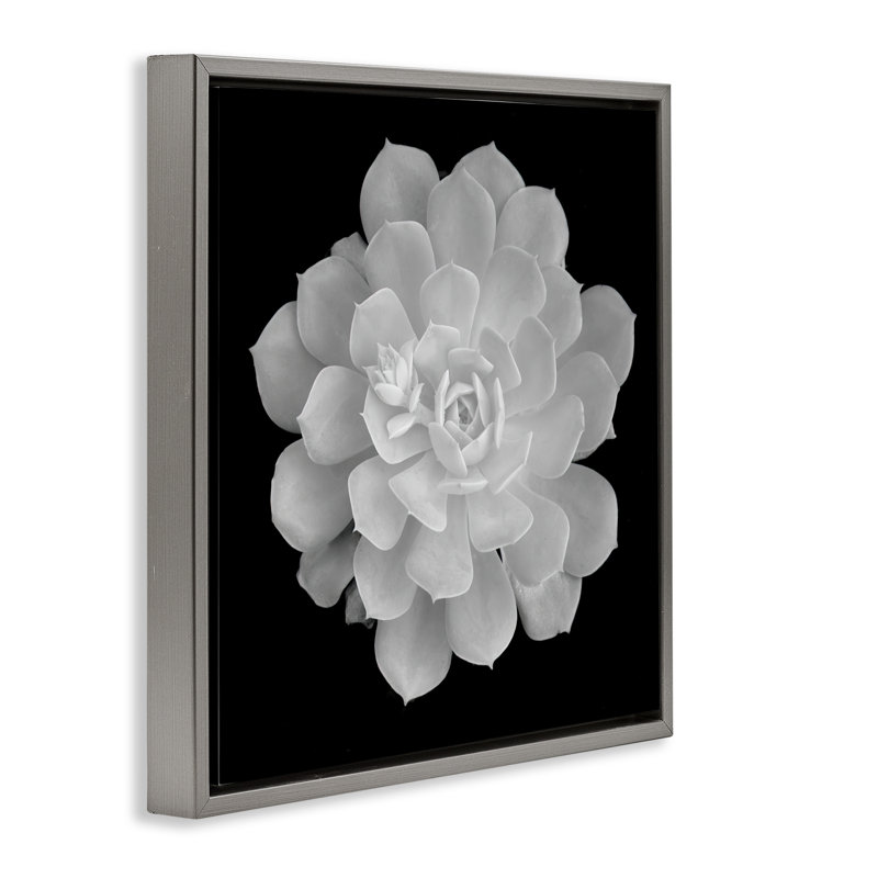 Cadre flottant blanc pur contrastant, design par Phillip Flowers, H 25 po x l 25 po, Cadre flottant gris lustré