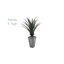 Agave artificielle de 39 po dans un pot de fleurs