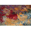 Hand-Knotted High-Quality Red and Blue Area Rug