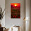 Coucher de soleil chaud Harnek-108533885