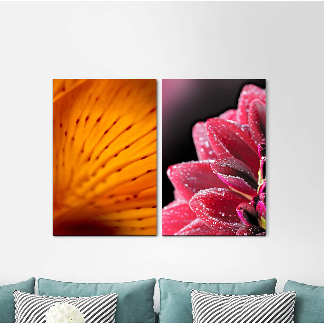 2-tlg. Leinwandbilder-Set - Fotografie „Zinnias Blossom Flowers Orange Nature Soft”