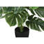 Plante artificielle