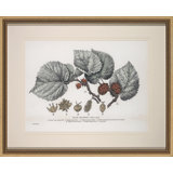 Black Mulberry Print