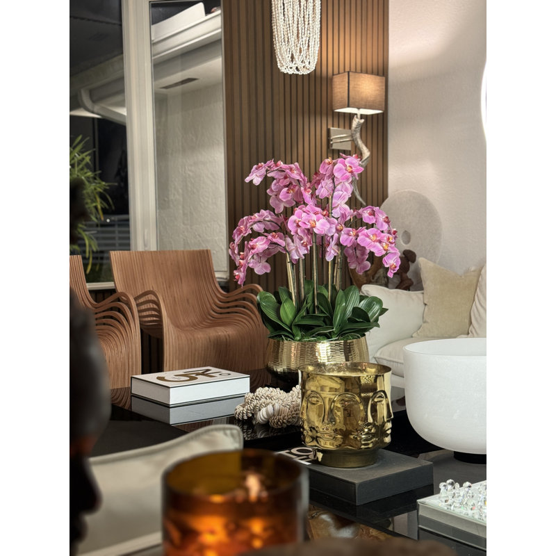 Roberi Orchid Arrangement in Planter, 38" H x 22" W x 22" D