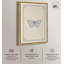 Décoration murale nature toile bleue papillon bleu II -516739488-516739505