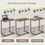 Hallsville Tray Table