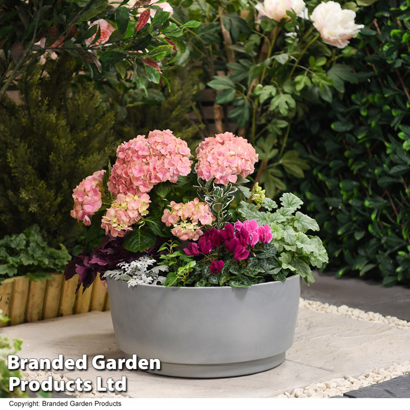 Ceasar Pot Planter, 16cm H x 35cm W x 35cm D, 1