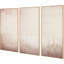 3 Piece Wrapped Canvas Painting