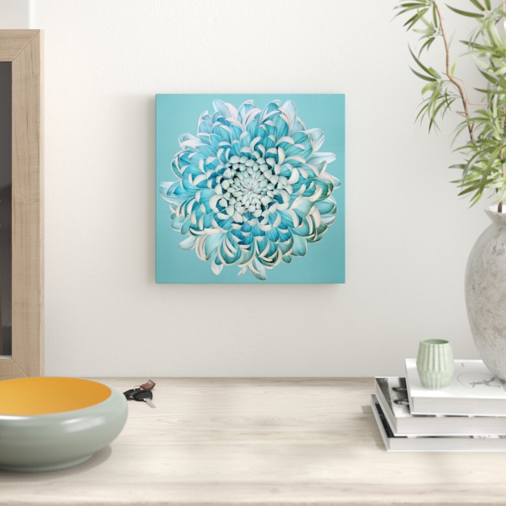 Leinwandbild Blaue Chrysantheme