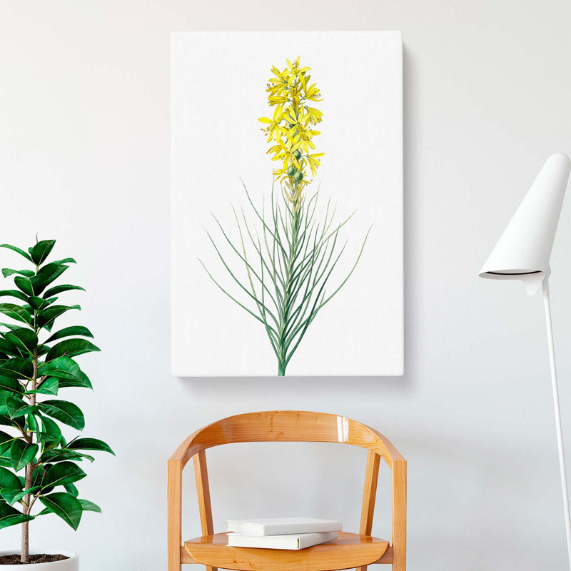 Yellow Asphodel Flowers by Pierre-Joseph Redoute - Wrapped Canvas, 76cm H x 50cm W x 3cm D
