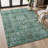 Premium Machine Washable Mayfield AMF2047 Global Rug-645287301-645287309