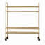 Florentin Elegantly Charmed Bar Cart with 2 Mirrored Shelves, Gold