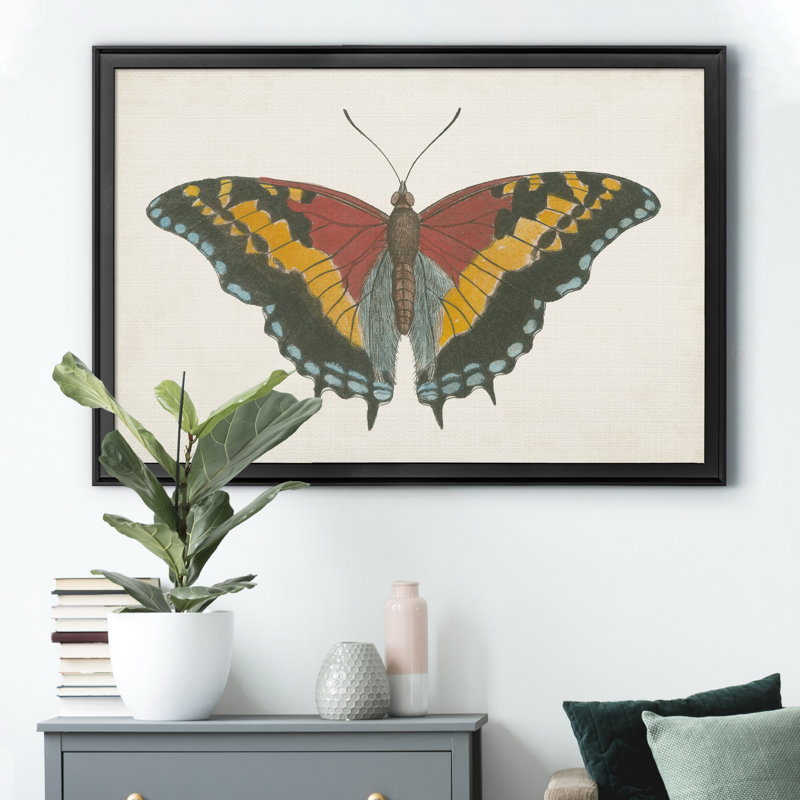 «Beautiful Butterfly IV», impression sur toile encadrée, Noir, H 18,5 po x l 24,5 po x P 1,5 po