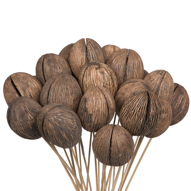 20'' Plant