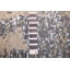 Tapis gris anthracite Legacy 2 pi 6 po x 10 pi 3 po