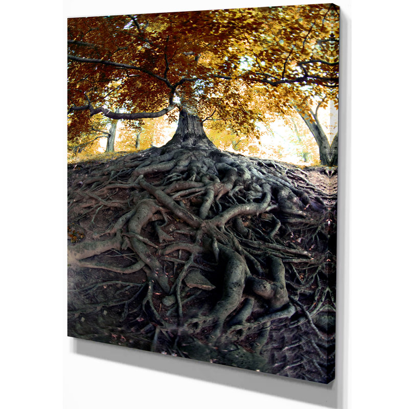 Reproduction de photo sur toile tendue, H 40 po x l 30 po x P 1,5 po