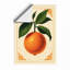 Orange Study Botanical - Framed Print-1440112058-1440112061