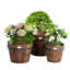 Adelgund Wood Pot Planter