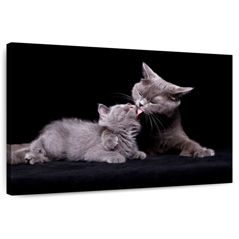 Cat Mother's Love, 24" H x 36" W
