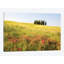 Reproduction de photo sur toile-29436355-73581167-73581157