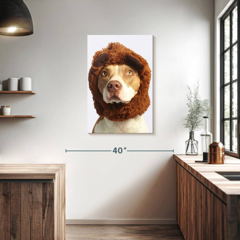 Brampt Dog Fur Headband, 36" H x 24" W