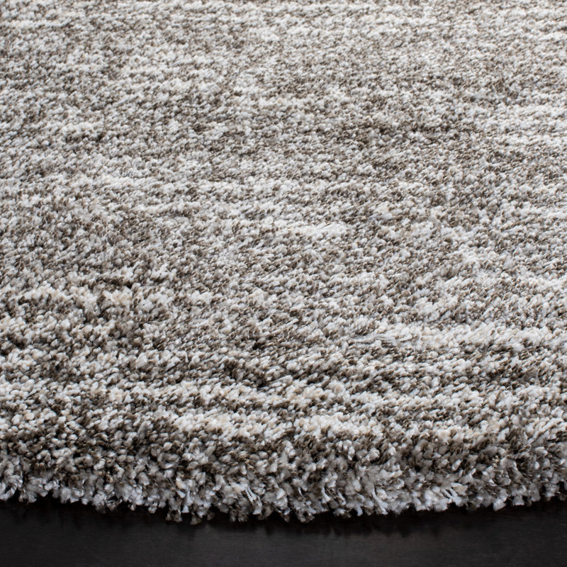 Audrianne Shag Performance Rug, Round 7'