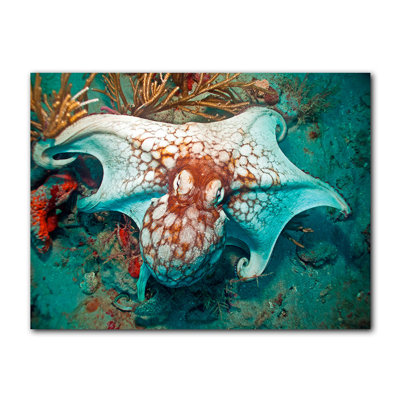 " Octopus " by Christopher Doherty