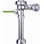 Regal 6.6 GPF Manual Flush Valve