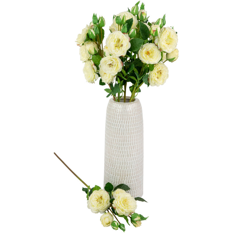 Jets de roses, Blanc