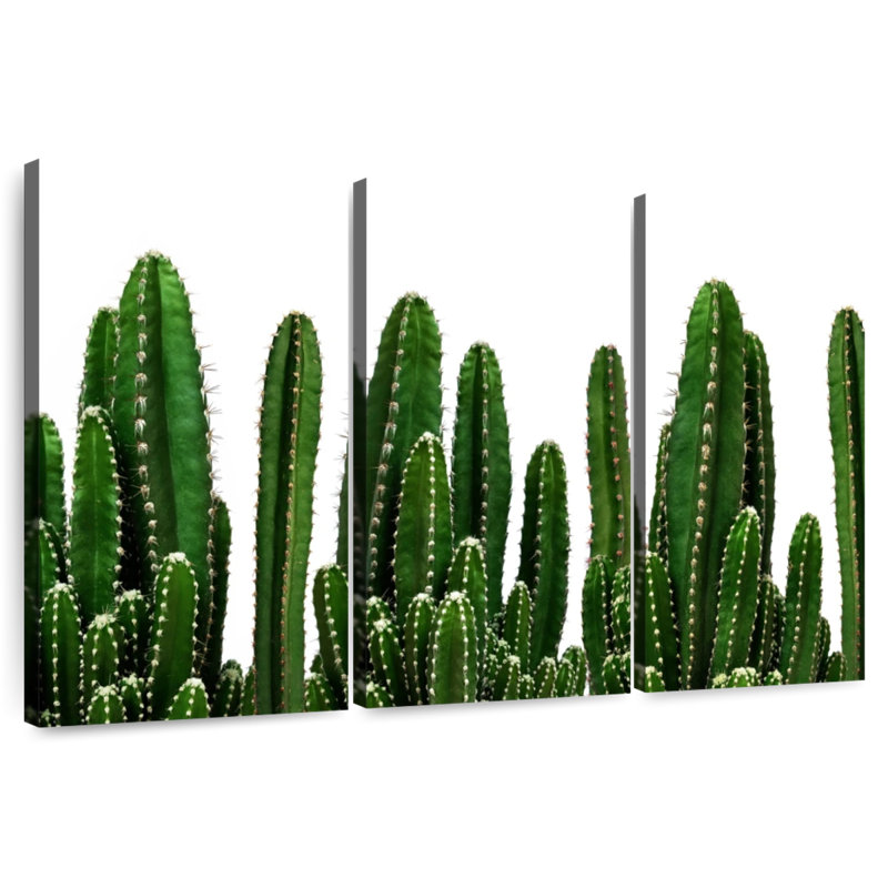 Harnek cactus, H 28 po x l 45 po