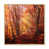 Natural Floater Frame Canvas